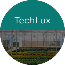 Solução plásticas para estufas TechLux da TechAgro