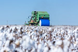 Sapphire Wrap, da AzulPack TechAgro, é aprovado pelo National Cotton Council of America