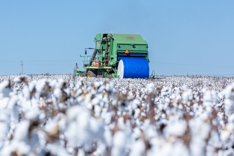 Sapphire Wrap, da AzulPack TechAgro, é aprovado pelo National Cotton Council of America