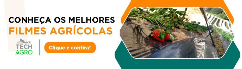 Fruticultura nordeste