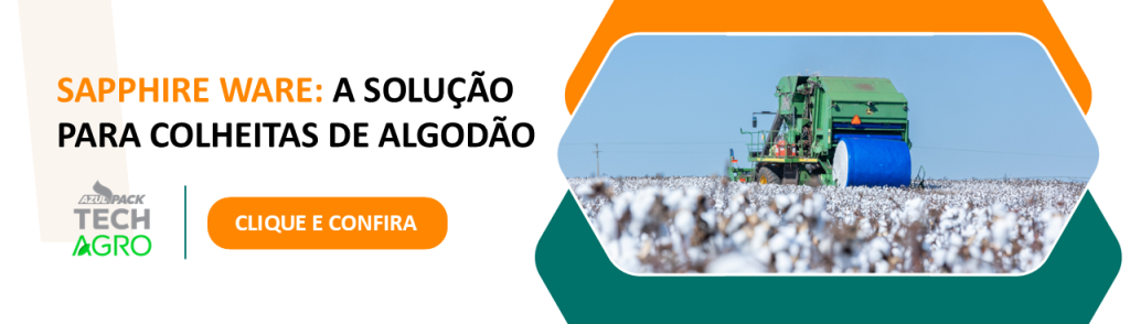 Plantação de algodão no Rio Grande do Sul