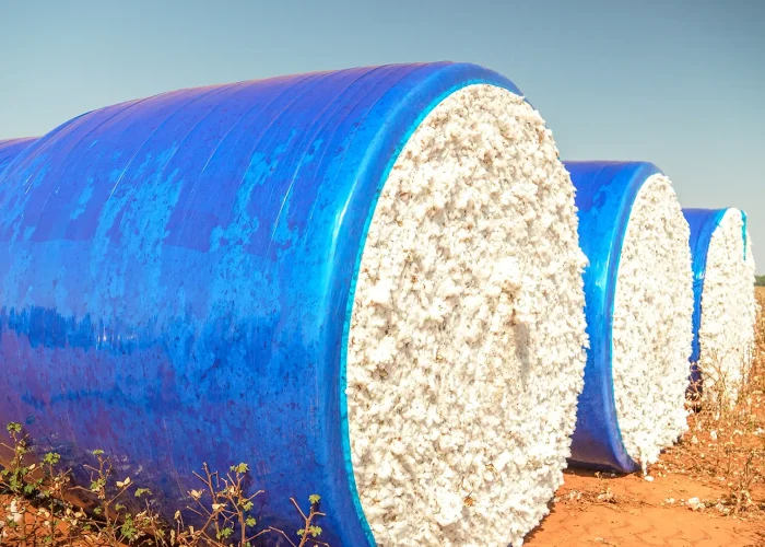 Sony Fazenda Rio Alegro_4