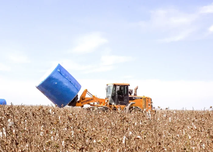 Sony Fazenda Vale do Verde_12