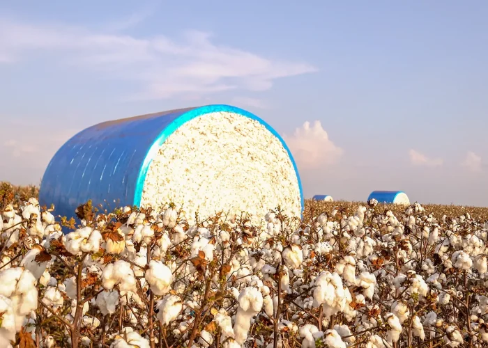 Sony Fazenda Vale do Verde_41